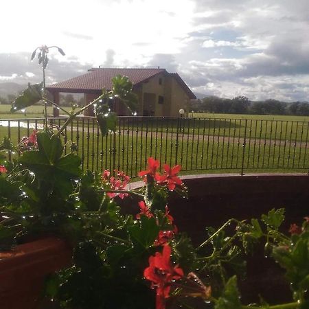 Agriturismo Oasi Del Pianettino Campagnatico Bagian luar foto