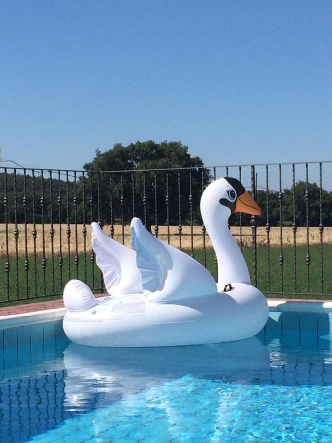 Agriturismo Oasi Del Pianettino Campagnatico Bagian luar foto