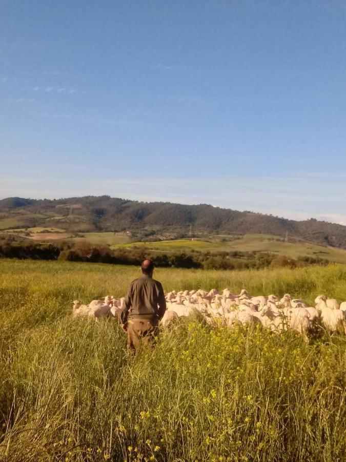 Agriturismo Oasi Del Pianettino Campagnatico Bagian luar foto